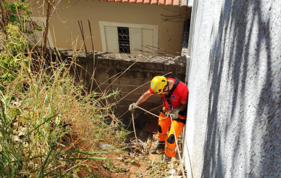 Cachorro cai em barranco de 4 metros e é resgatado por bombeiros em Andradas