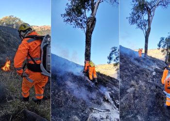 Incêndio florestal atinge 10 hectares na região da Pedra Branca