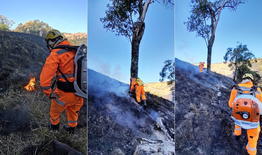 Incêndio florestal atinge 10 hectares na região da Pedra Branca
