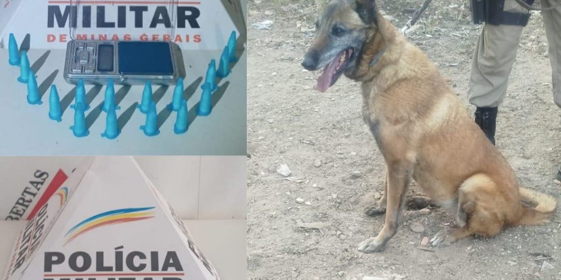 Menor é apreendido por tráfico de drogas durante operação policial em Andradas