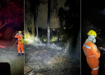 VÍDEO: Incêndio atinge plantação de café na zona rural de Andradas