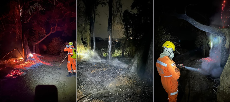 VÍDEO: Incêndio atinge plantação de café na zona rural de Andradas