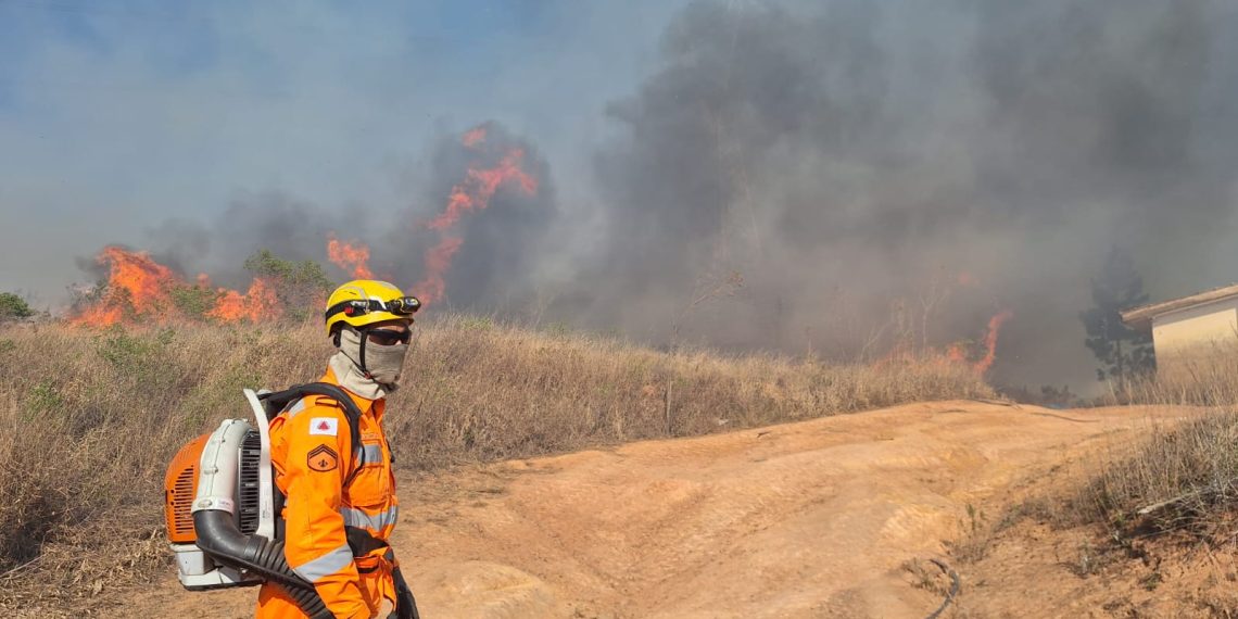 Incêndio quase atinge cavalos, estufas e casas na zona oeste de Poços de Caldas