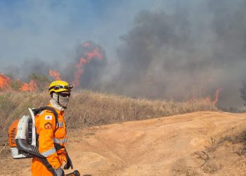 Incêndio quase atinge cavalos, estufas e casas na zona oeste de Poços de Caldas