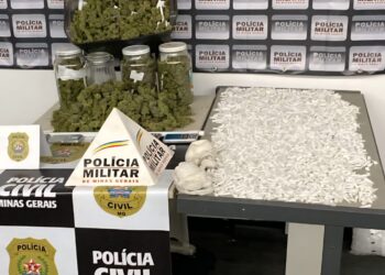 Quase 4 mil pinos de cocaína são apreendidos durante operação no Sul de Minas