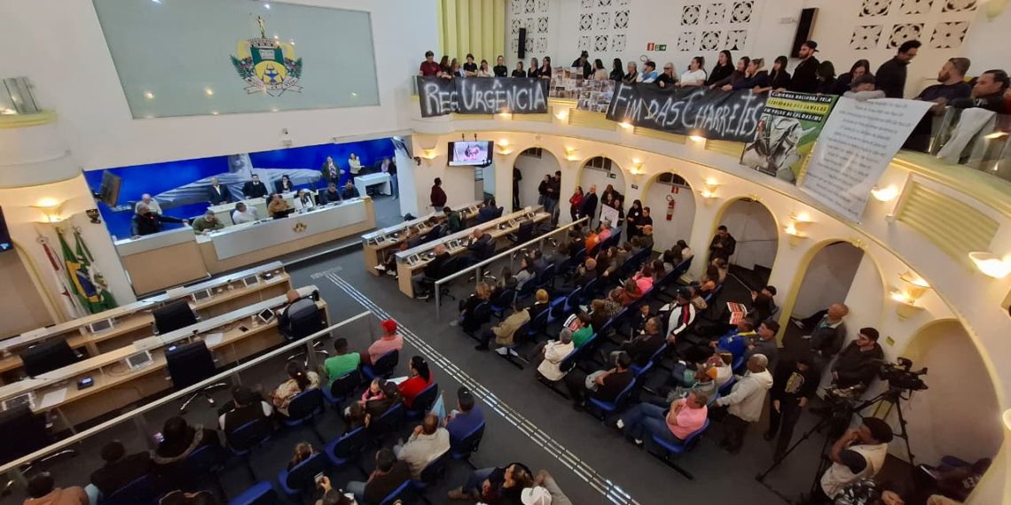 Audiência pública sobre fim das charretes turísticas termina em confusão em Poços