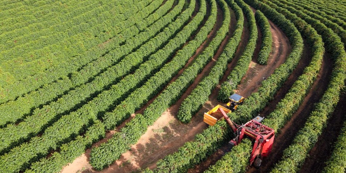 Medida do governo facilitará preço justo e novos mercados, dizem produtores impactados pelo tarifaço