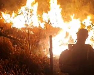 VÍDEO: Incêndio em vegetação mobiliza Corpo de Bombeiros em Poços de Caldas