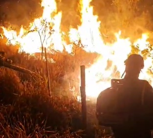 VÍDEO: Incêndio em vegetação mobiliza Corpo de Bombeiros em Poços de Caldas