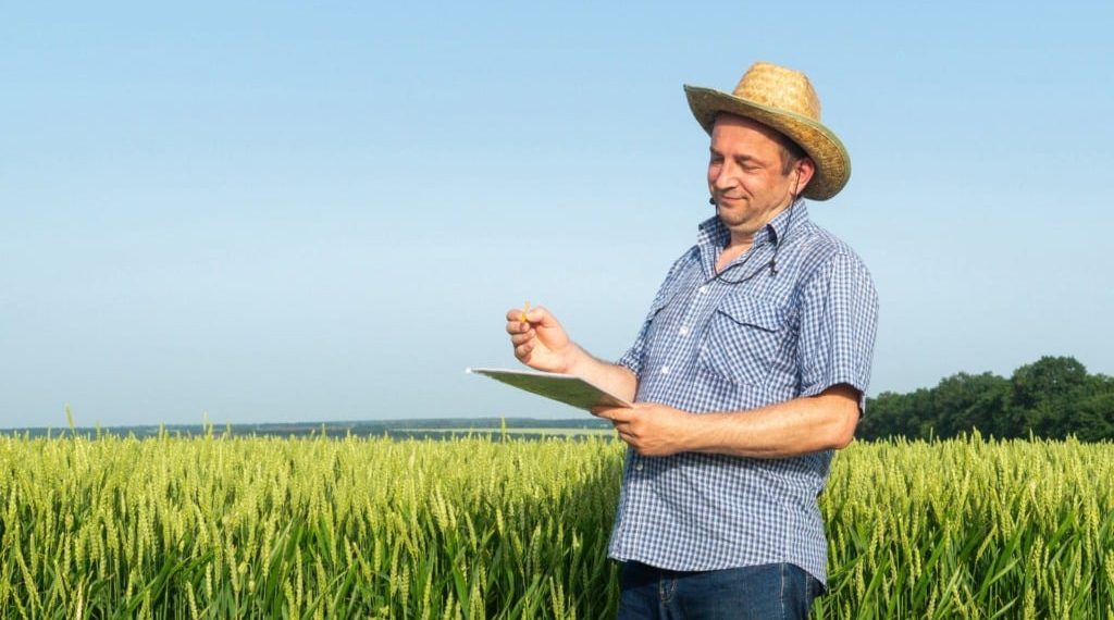 Entrega da declaração do ITR 2025 começa nesta segunda-feira (11)