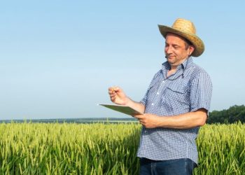 Entrega da declaração do ITR 2025 começa nesta segunda-feira (11)