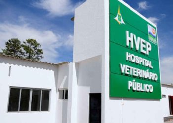 Promessa de campanha de Paulo Ney, Hospital Veterinário Público não sairá do papel, afirma Secretaria de Meio Ambiente de Poços