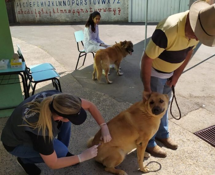 Vacinação antirrábica segue para as regiões Sul e Oeste de Poços; veja os locais