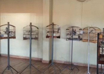 24 pessoas são presas em torneio clandestino de pássaros na região