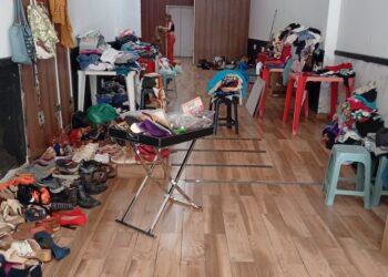 Movimento nas Patinhas realiza bazar solidário para custear tratamento de animais resgatados