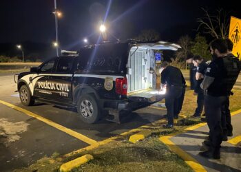 Polícia Civil deflagra Operação “Colheita Noturna” contra furtos de café na região