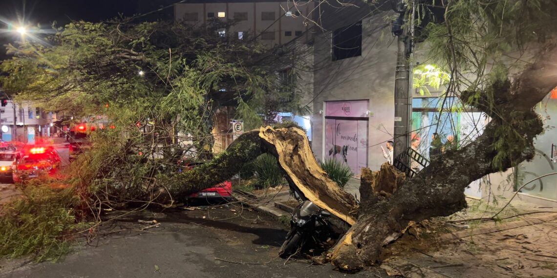 Árvore de grande porte cai e atinge carro e moto no centro de Poços