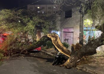 Árvore de grande porte cai e atinge carro e moto no centro de Poços