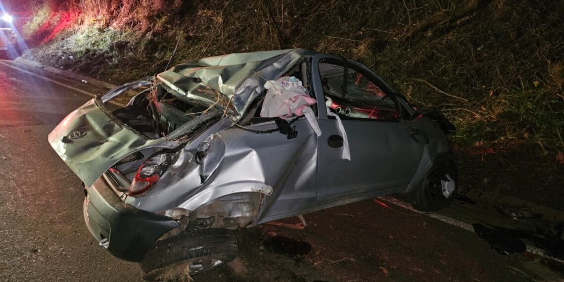 Motorista morre em capotamento após desviar de capivara em rodovia no Sul de Minas