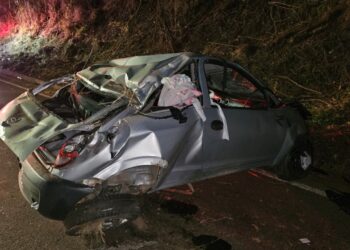 Motorista morre em capotamento após desviar de capivara em rodovia no Sul de Minas