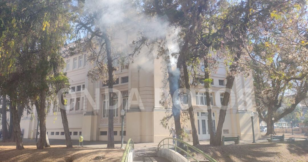 VÍDEO: incêndio é registrado em árvore no centro de Poços