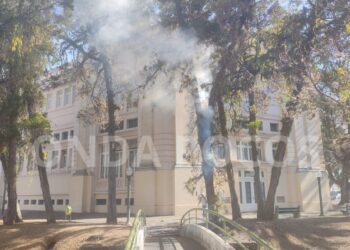 VÍDEO: incêndio é registrado em árvore no centro de Poços