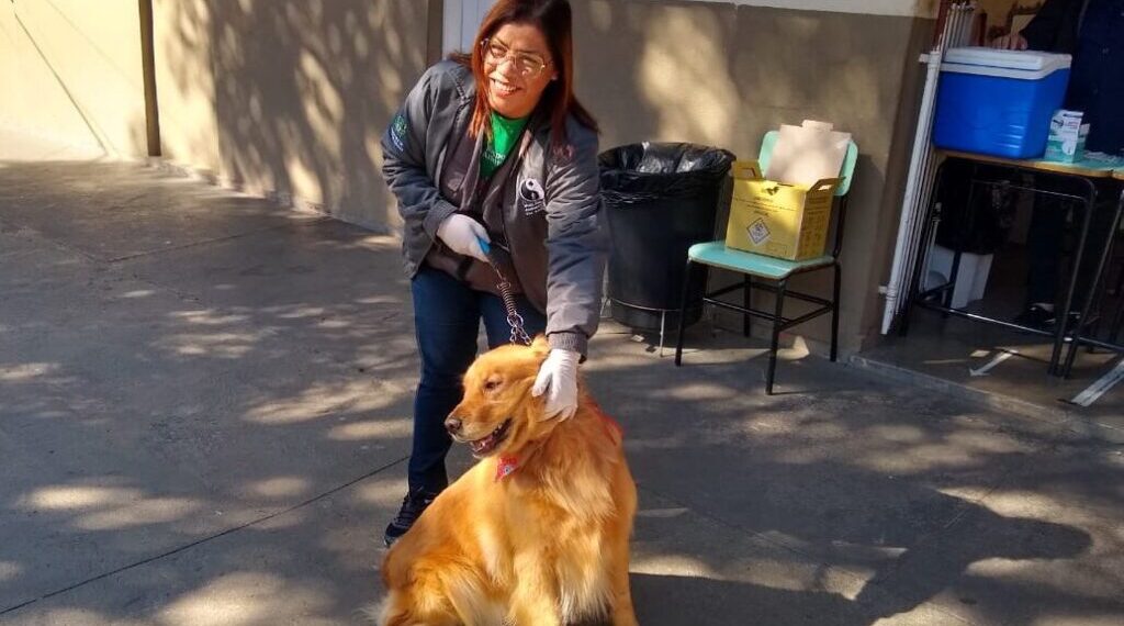 Campanha Antirrábica já imunizou quase 23 mil animais em Poços de Caldas
