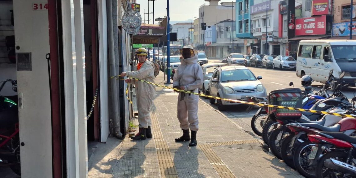 Enxame para em moto e movimenta bombeiros no centro de Poços de Caldas