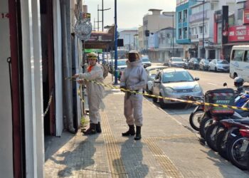 Enxame para em moto e movimenta bombeiros no centro de Poços de Caldas