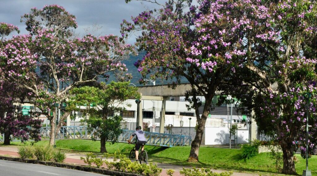 Chegada da primavera terá frente fria e possibilidade de chuva em Poços