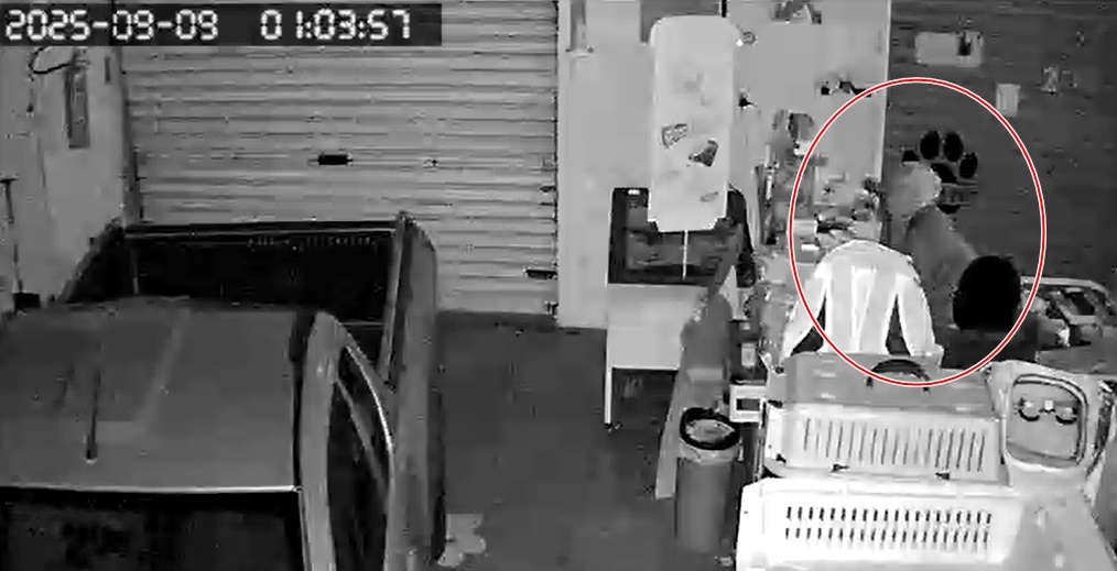VÍDEO: Criminosos invadem pet shop e furtam bolsa na zona leste de Poços de Caldas