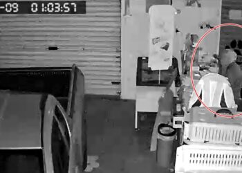 VÍDEO: Criminosos invadem pet shop e furtam bolsa na zona leste de Poços de Caldas