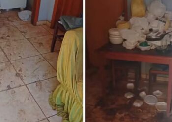 Idosa de 88 anos é resgatada desnutrida, sem higiene e em situação de vulnerabilidade em cidade do Sul de Minas
