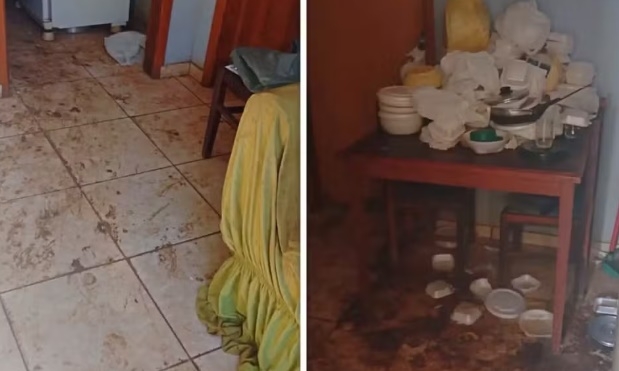 Idosa de 88 anos é resgatada desnutrida, sem higiene e em situação de vulnerabilidade em cidade do Sul de Minas