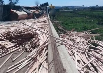 Carreta carregada com madeira tomba na Fernão Dias e causa congestionamento de 17 km