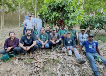 Curso piloto de cacauicultura capacita produtores em Raul Soares 