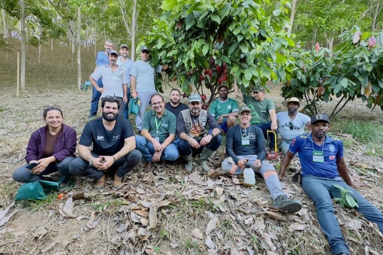 Curso piloto de cacauicultura capacita produtores em Raul Soares