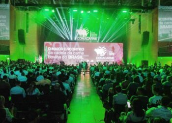 Conacarne 2025 discute caminhos para o futuro da pecuária brasileira 