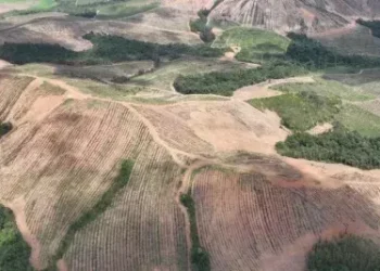Meteoric recebe licença ambiental para operação de planta-piloto de produção de Terras Raras em MG