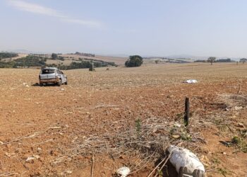 Grave acidente em rodovia na região deixa um morto e um ferido