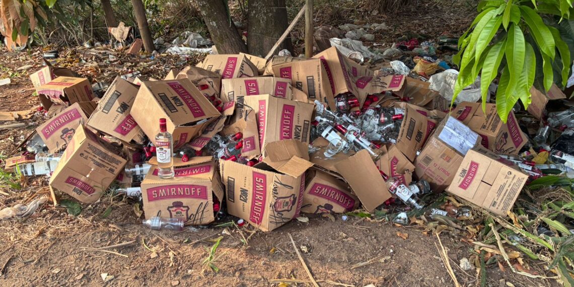 VÍDEO: Seiscentas garrafas cheias de vodka são descartadas às margens de rodovia no Sul de Minas