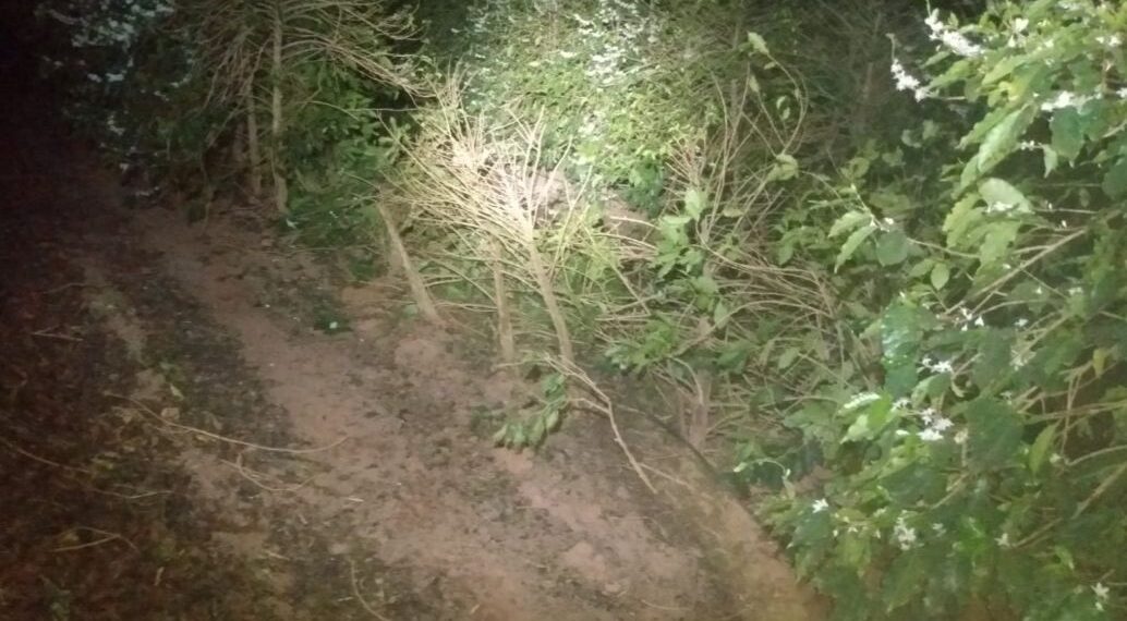 Homem é encontrado morto em lavoura de café de Campestre