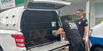 Homens que mataram mulher em Poços de Caldas são presos pela Polícia Civil