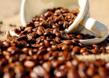 Programação da 1ª Festa do Café de Poços de Caldas é divulgada