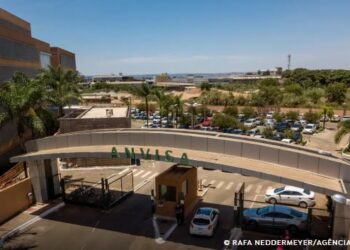 Anvisa proíbe venda de produtos de cannabis e cogumelos