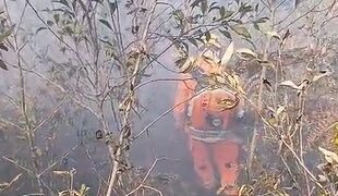 VÍDEO: Após dois dias de combate, incêndio na Fazenda Teixeira, em Poços, é controlado pelos Bombeiros