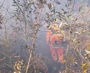 VÍDEO: Após dois dias de combate, incêndio na Fazenda Teixeira, em Poços, é controlado pelos Bombeiros