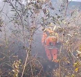 VÍDEO: Após dois dias de combate, incêndio na Fazenda Teixeira, em Poços, é controlado pelos Bombeiros