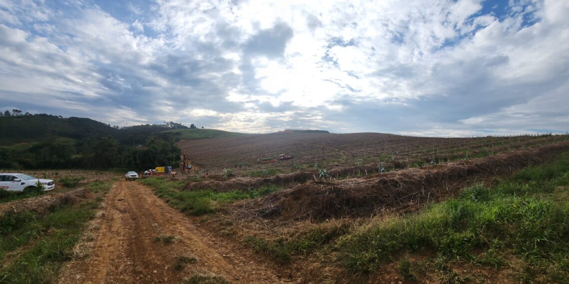 Meteoric recebe aprovação ambiental para exploração de Terras Raras em Caldas