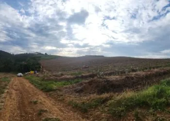 Meteoric recebe aprovação ambiental para exploração de Terras Raras em Caldas